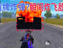 和平精英透视(和平精英透视辅助器)