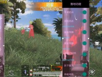 和平精英范围伤害辅助特色(和平精英范围伤害辅助下载)