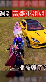 和平精英低价发卡网-和平精英吉利卡怎么换绑